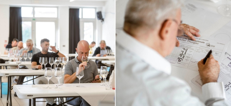 Ben 75 vini per il concorso Müller Thurgau, le etichette valutate da tre commissioni